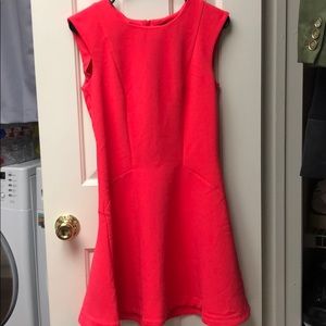 Bright Pink Skater Dress